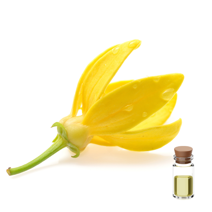 Ylang-Ylang oil