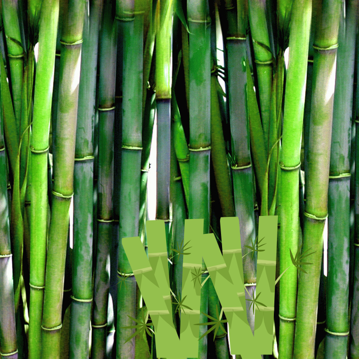Organic Bamboo hydrosol